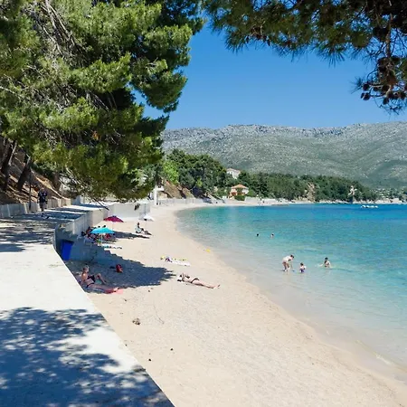 Stefan 3* Оребич